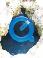 VIDEO: You can see (and HEAR) the 