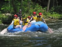Our first taste of the river's active side came soon after  departure.