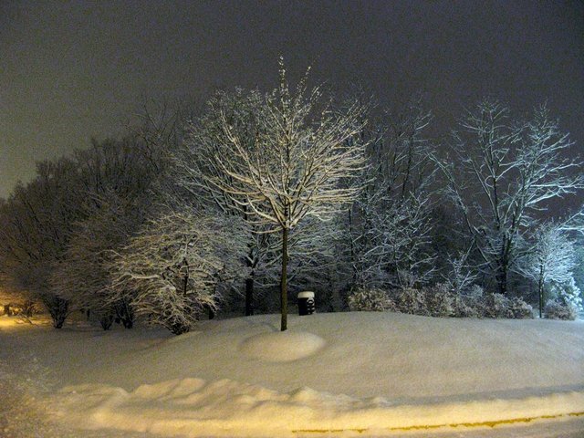 IMG 2259
