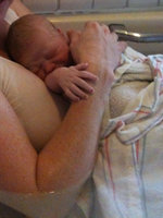 1 minute old - just out of the water