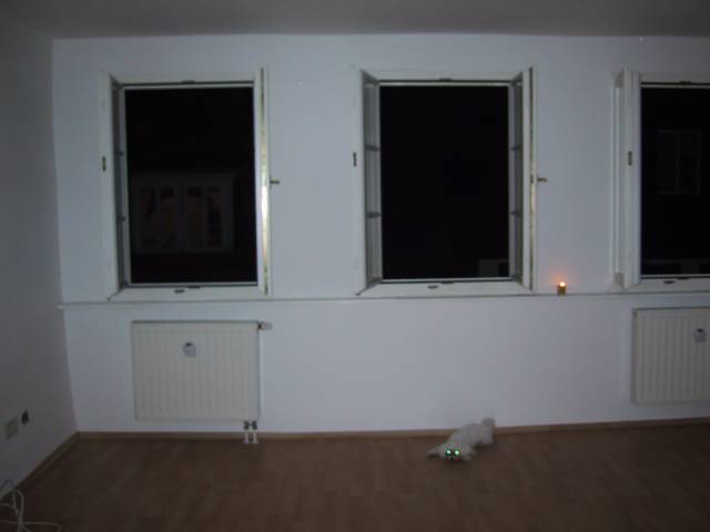 The living room of my new apartment.  The windows overlook the Hauptstrasse.
