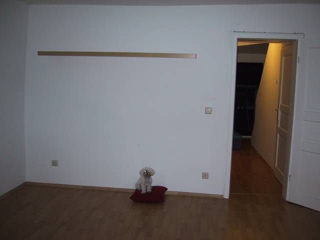 The other side of the living room.  Note the pillow that serves as my only piece of furniture. ;-)