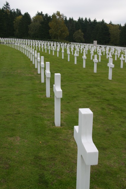 I liked the gentle arcs of the rows.