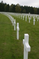 I liked the gentle arcs of the rows.