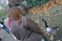 Regan and Norm feed the birds.
