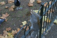 But birds were not the only thing we fed.