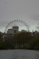 The Lonon Eye, as seen from the footbridge in St James Park.