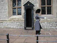 A movie Norm took of the Palace Guard.