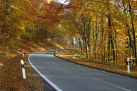 Highlight for Album: Weinheim's Fall Foliage